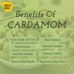 Cardamom (Elaichi)