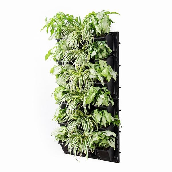 Decorate Indoor Space with Green Vertical Garden at Home