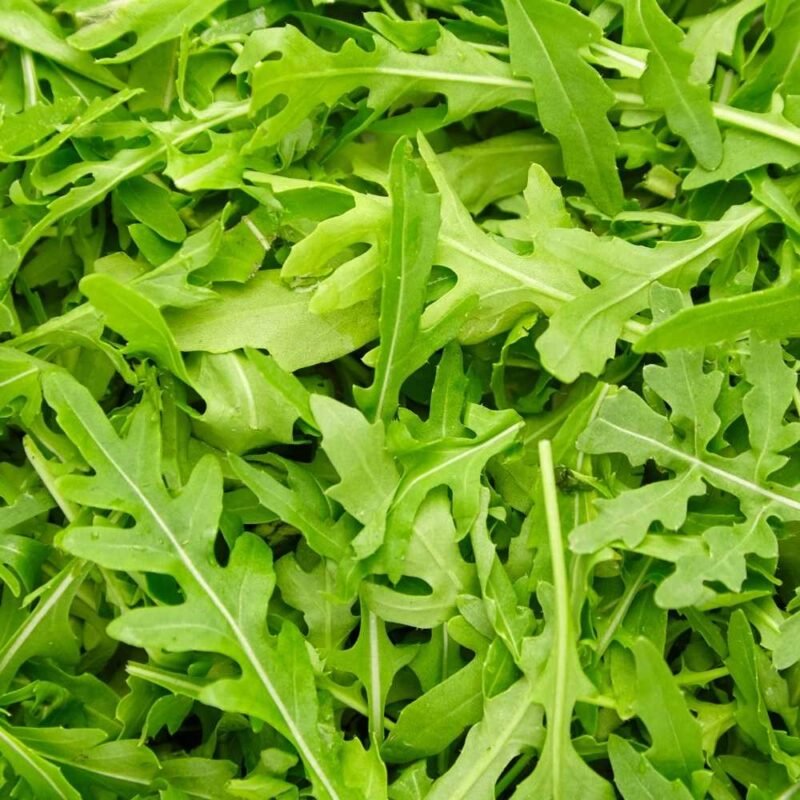 Rocket Seeds (200 Seeds)
