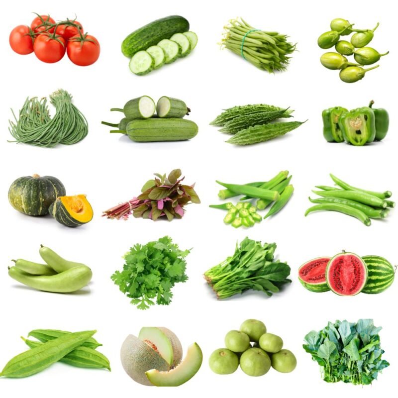 Summer Vegetable Seeds Kit Hybrid (20 in 1)