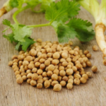 Farm fresh Coriander Seeds (Dhania) Pure Chemical free – First Delivery - Image 4