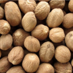 Farm Fresh Jathikka Nutmeg (Jaiphal) Chemical free – First Delivery - Image 3